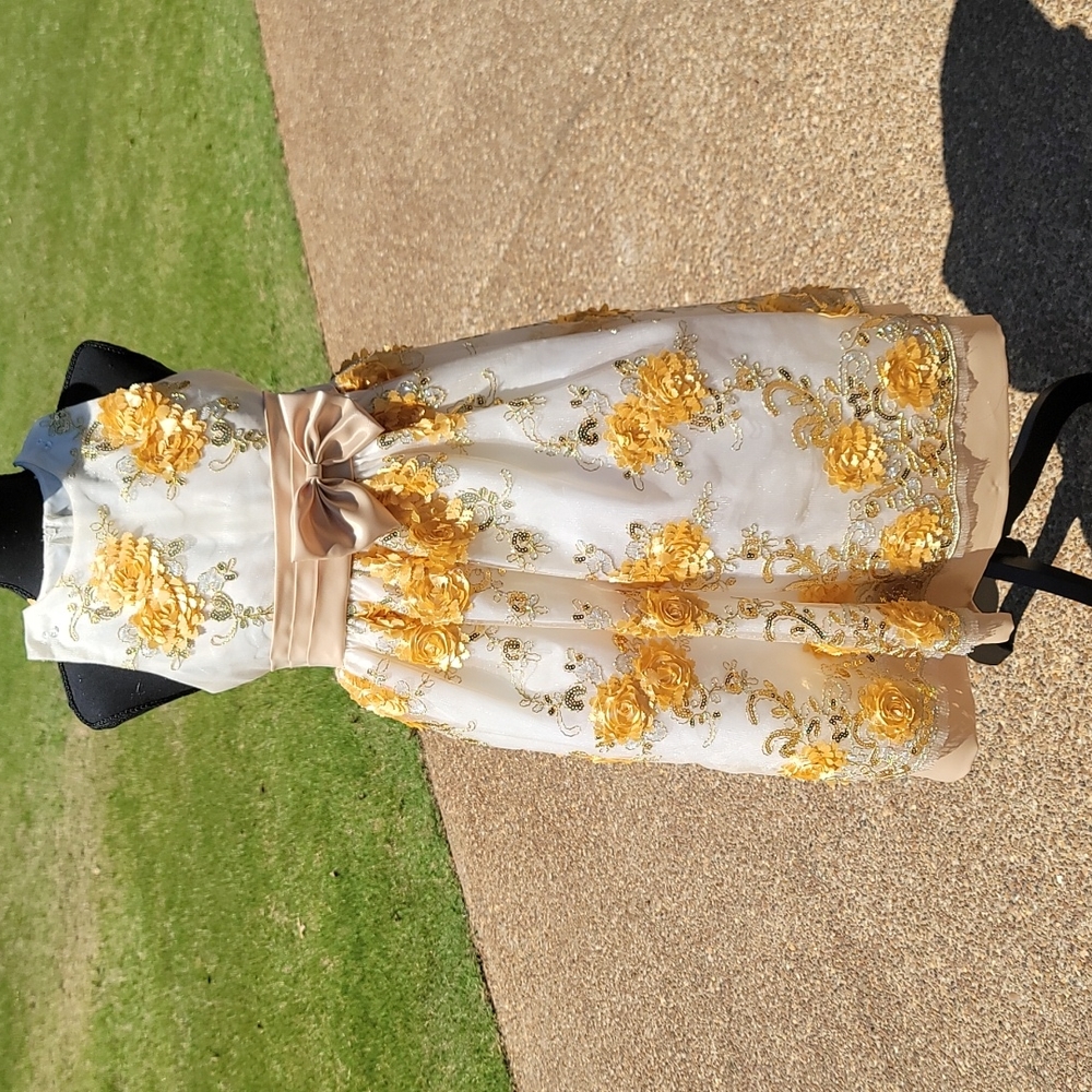 Shanil gold cream and beige floral and sequin dress. A definite showstopper.